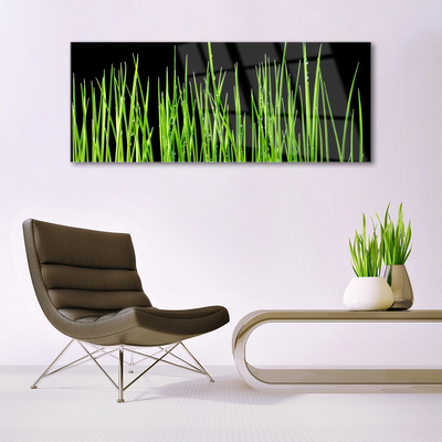 Image sur verre Tableau Herbe floral vert noir