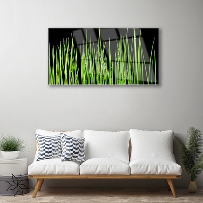 Image sur verre Tableau Herbe floral vert noir