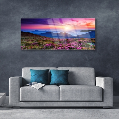 Image sur verre Tableau Montagnes prairie fleurs paysage violet rose bleu vert