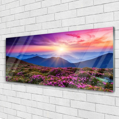 Image sur verre Tableau Montagnes prairie fleurs paysage violet rose bleu vert