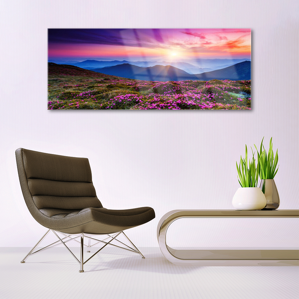 IMPRESSION SUR VERRE 70x50cm Tableaux Image Photo parc cascade eau Decoration EUR 59,99