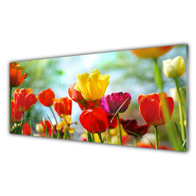Image sur verre Tableau Fleurs floral rouge jaune rose vert