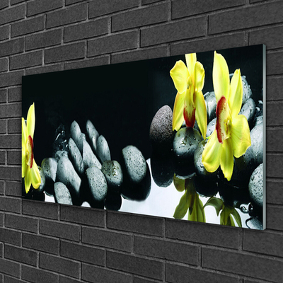 Image sur verre Tableau Fleurs pierres floral jaune noir
