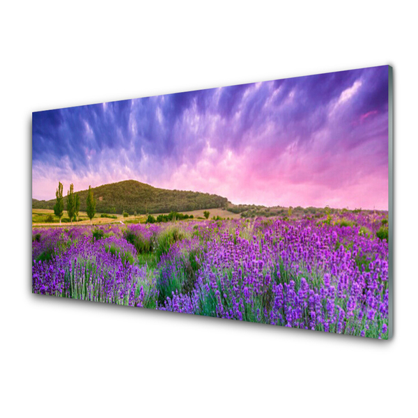 Image sur verre Tableau Prairie fleurs montagnes nature vert violet bleu rose