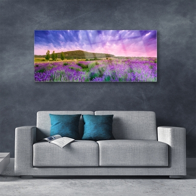 Image sur verre Tableau Prairie fleurs montagnes nature vert violet bleu rose