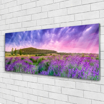 Image sur verre Tableau Prairie fleurs montagnes nature vert violet bleu rose