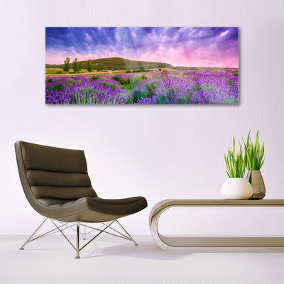 Image sur verre Tableau Prairie fleurs montagnes nature vert violet bleu rose