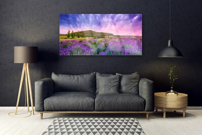 Image sur verre Tableau Prairie fleurs montagnes nature vert violet bleu rose