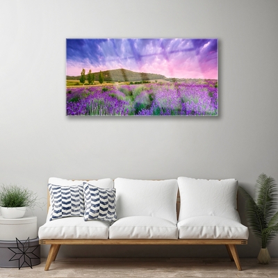 Image sur verre Tableau Prairie fleurs montagnes nature vert violet bleu rose