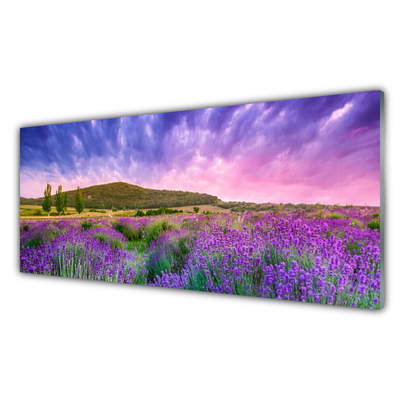 Image sur verre Tableau Prairie fleurs montagnes nature vert violet bleu rose