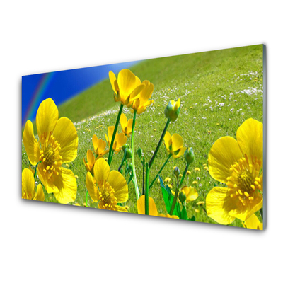 Image sur verre Tableau Prairie fleurs arc en ciel nature jaune bleu vert