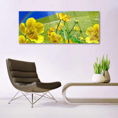 Image sur verre Tableau Prairie fleurs arc en ciel nature jaune bleu vert