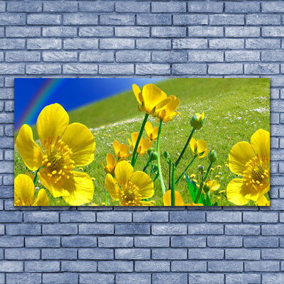 Image sur verre Tableau Prairie fleurs arc en ciel nature jaune bleu vert