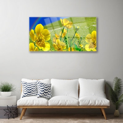 Image sur verre Tableau Prairie fleurs arc en ciel nature jaune bleu vert