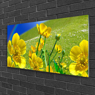 Image sur verre Tableau Prairie fleurs arc en ciel nature jaune bleu vert