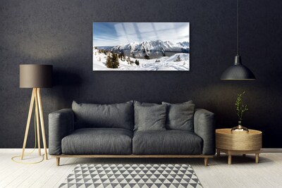 Image sur verre Tableau Montagnes paysage blanc vert gris