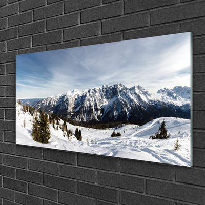 Image sur verre Tableau Montagnes paysage blanc vert gris