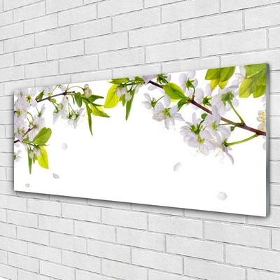 Image sur verre Tableau Fleurs feuilles nature blanc vert