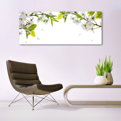 Image sur verre Tableau Fleurs feuilles nature blanc vert