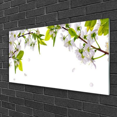 Image sur verre Tableau Fleurs feuilles nature blanc vert