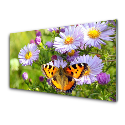Image sur verre Tableau Fleurs papillon nature orange violet jaune vert