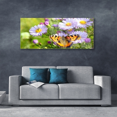 Image sur verre Tableau Fleurs papillon nature orange violet jaune vert