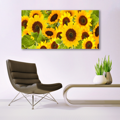 Image sur verre Tableau Tournesols floral jaune brun vert