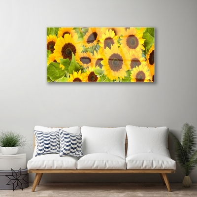 Image sur verre Tableau Tournesols floral jaune brun vert