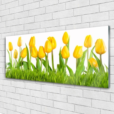 Image sur verre Tableau Tulipes floral jaune vert blanc