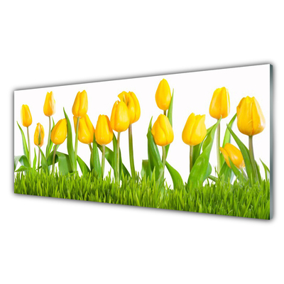 Image sur verre Tableau Tulipes floral jaune vert blanc