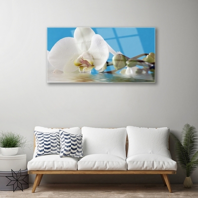 Image sur verre Tableau Fleur floral blanc vert bleu