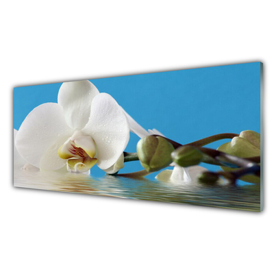 Image sur verre Tableau Fleur floral blanc vert bleu