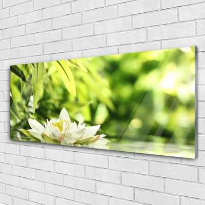 Image sur verre Tableau Fleurs feuilles floral blanc vert jaune