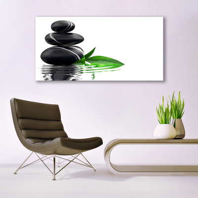 Image sur verre Tableau Pierres feuilles eau art noir vert blanc