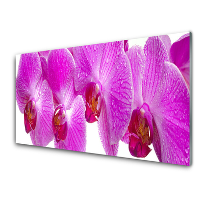 Image sur verre Tableau Fleurs floral rose