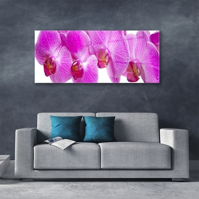 Image sur verre Tableau Fleurs floral rose