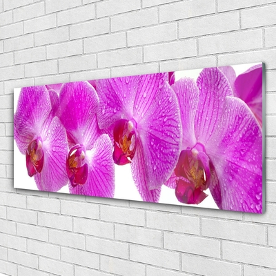 Image sur verre Tableau Fleurs floral rose