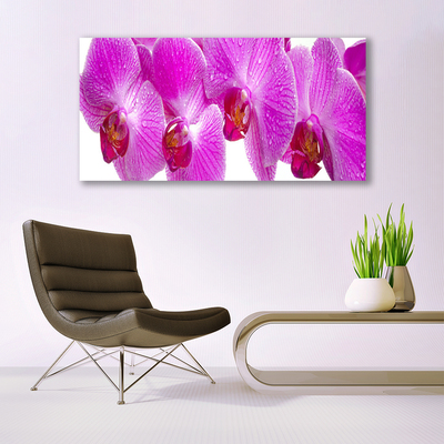 Image sur verre Tableau Fleurs floral rose