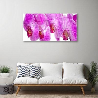 Image sur verre Tableau Fleurs floral rose