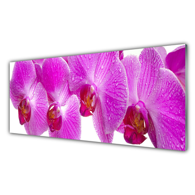 Image sur verre Tableau Fleurs floral rose