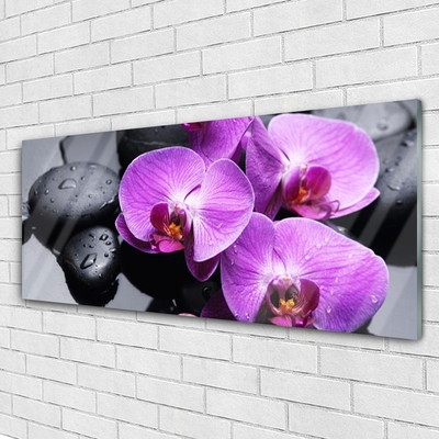 Image sur verre Tableau Fleurs pierres floral violet noir