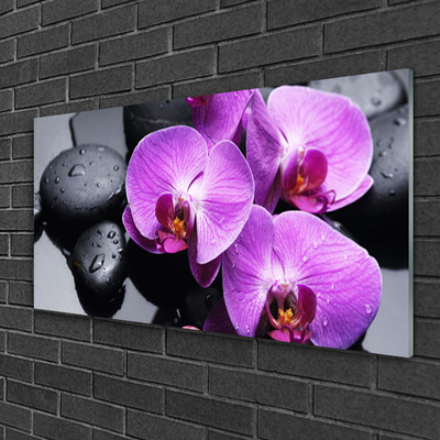 Image sur verre Tableau Fleurs pierres floral violet noir