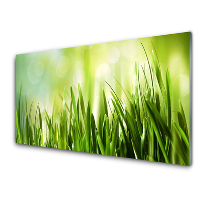 Image sur verre Tableau Herbe nature vert