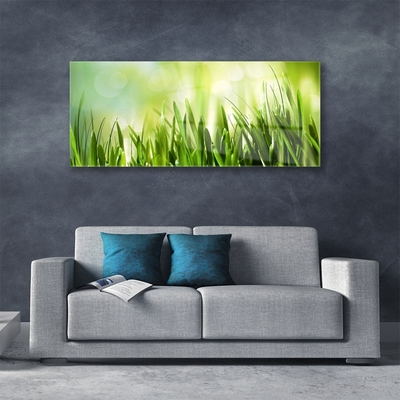 Image sur verre Tableau Herbe nature vert