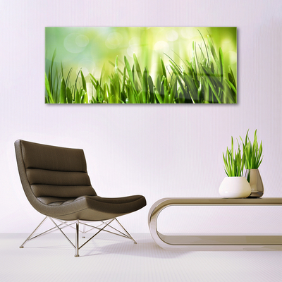 Image sur verre Tableau Herbe nature vert