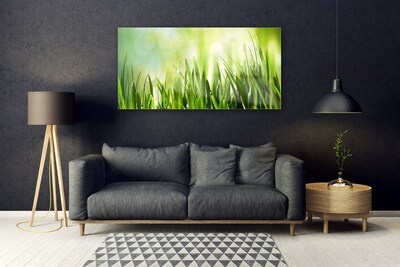 Image sur verre Tableau Herbe nature vert