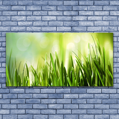 Image sur verre Tableau Herbe nature vert