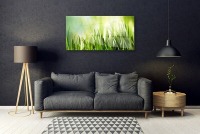 Image sur verre Tableau Herbe nature vert