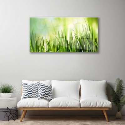 Image sur verre Tableau Herbe nature vert