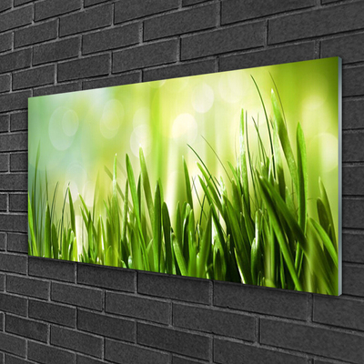 Image sur verre Tableau Herbe nature vert